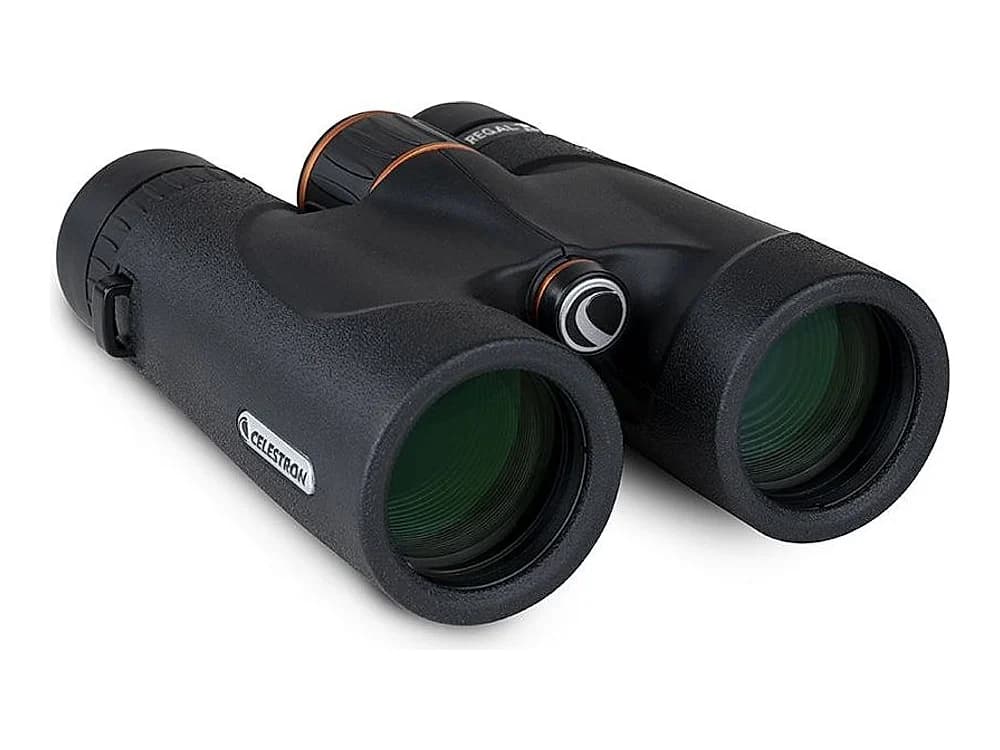 Celestron Regal ED 8x42mm Roof Binoculars view 3