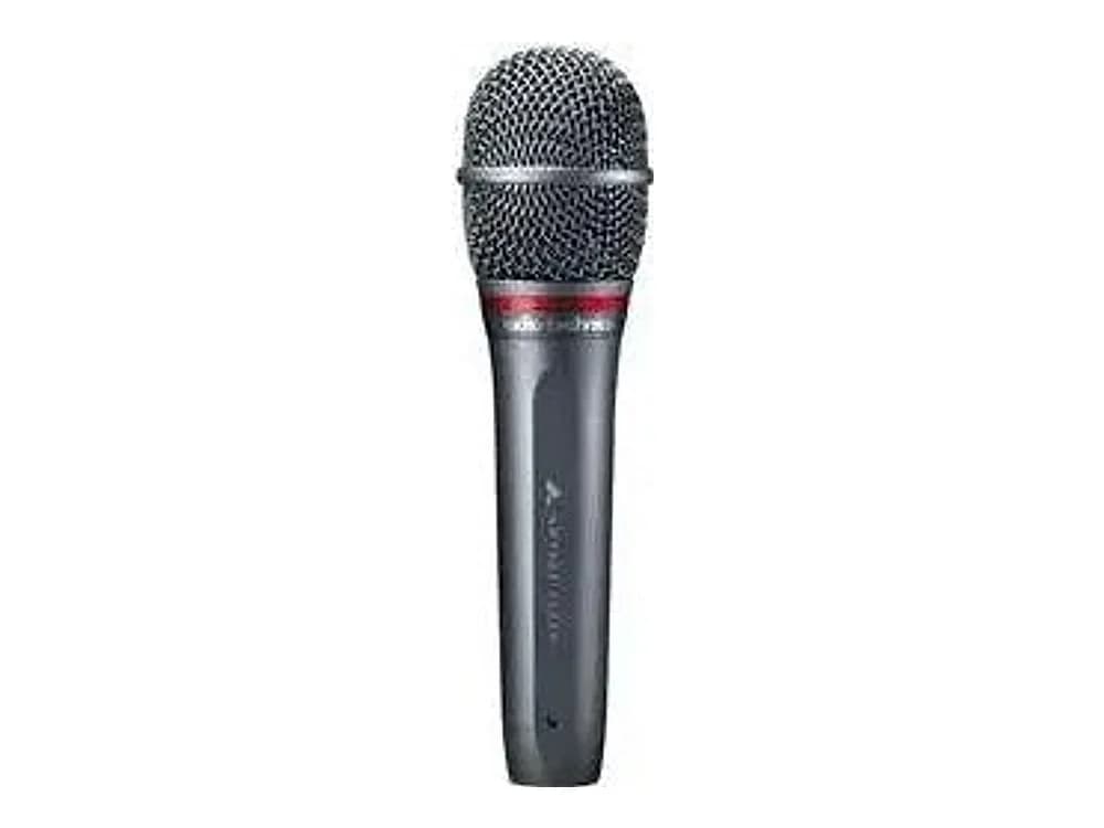 Audio-Technica AE6100 Hypercardioid Dynamic Handheld Microphone view 2